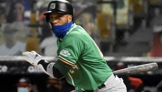 Cano Canó gran refuerzo de los Tigres del Licey para la Serie del Caribe.