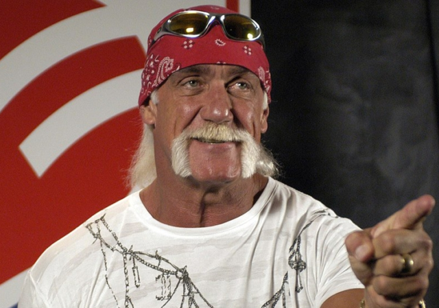 Hogan Hulk Hogan está pasando los peores días de su vida.