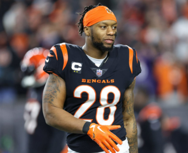 Mixon Los Bengals realizarán las investigaciones del caso de Mixon.