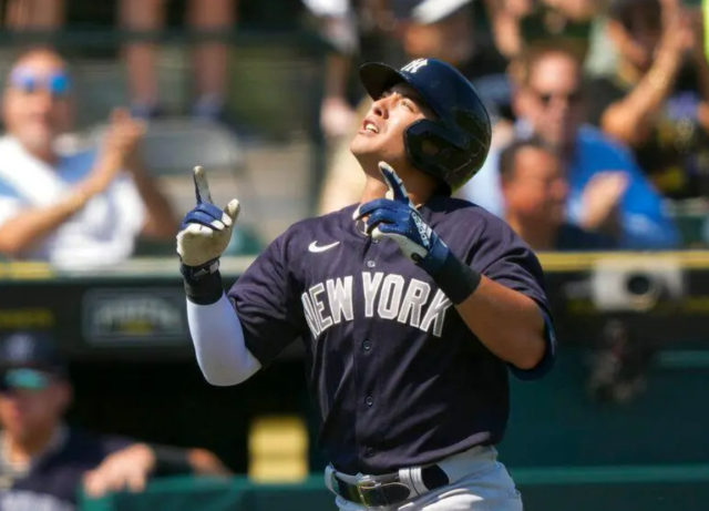 Volpe Volpe podría estar con el equipo como campocorto titular.