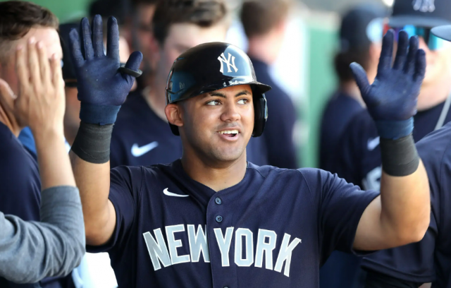 Pros El jardinero dominicano Jasson "El Marciano" Domínguez.