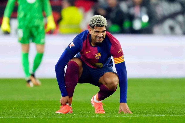 Araujo