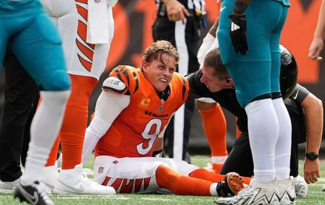 Bengals