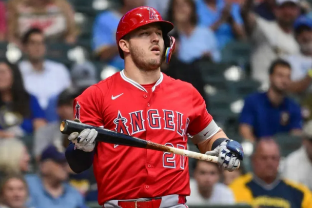 Trout